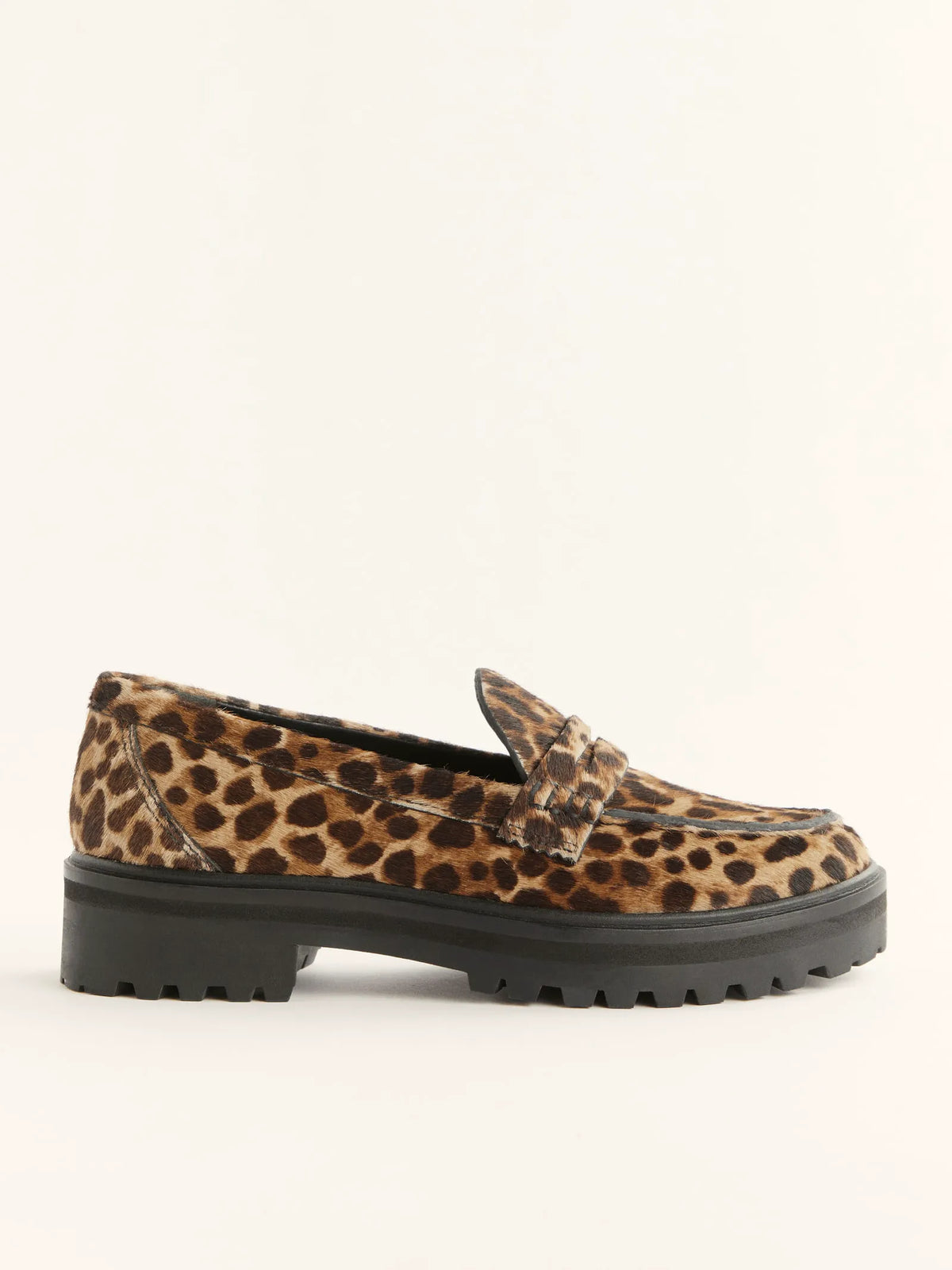 Leopard