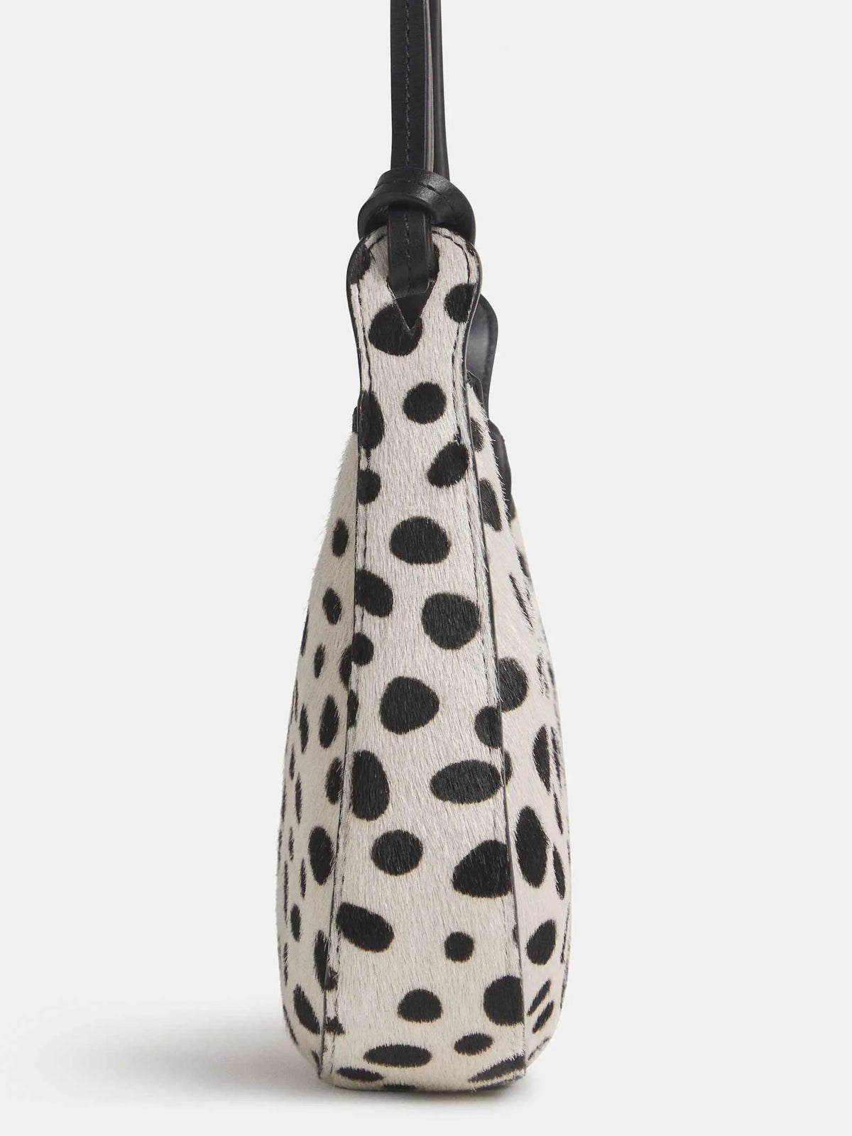 Dalmatian Haircalf