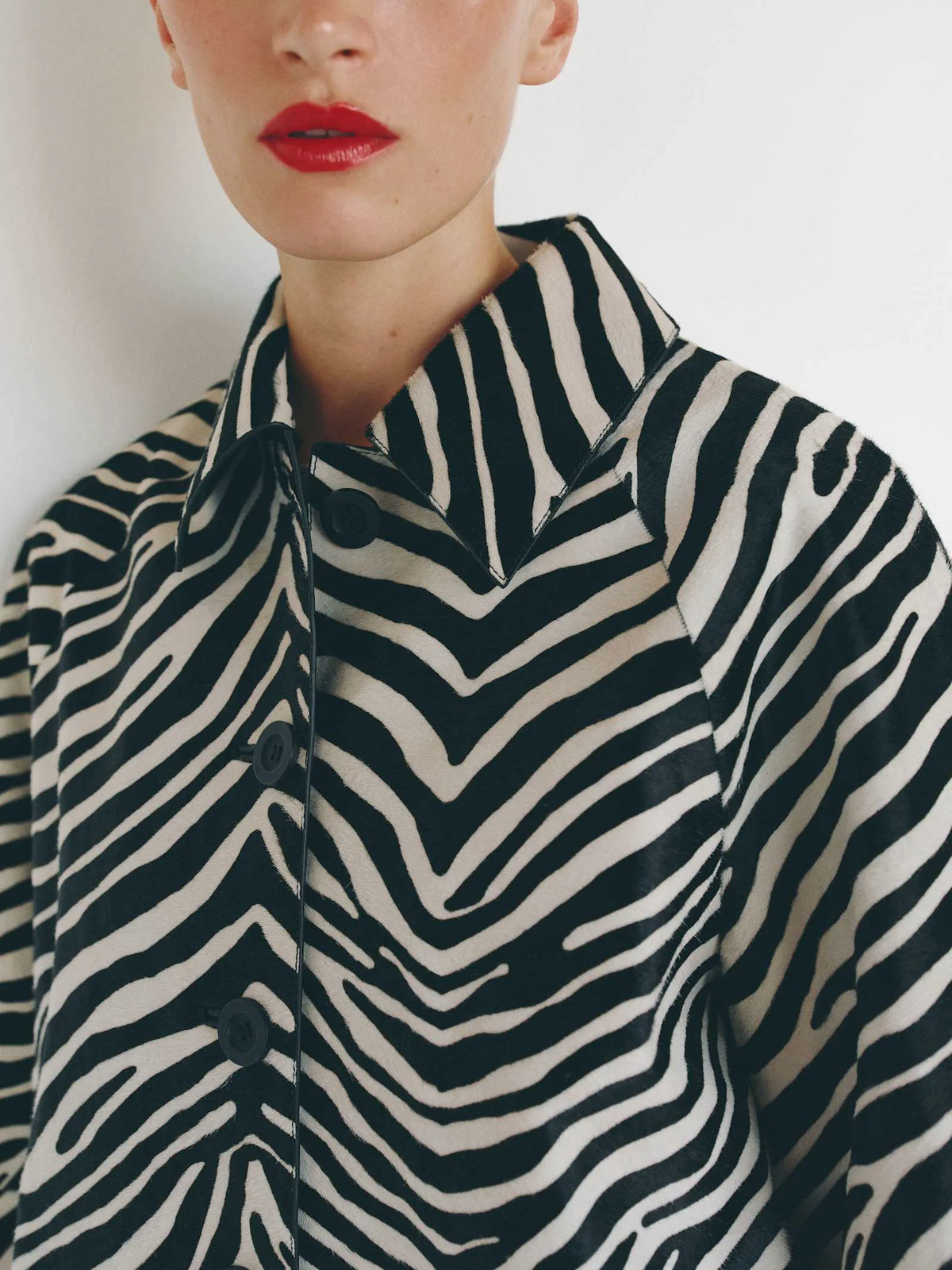 Zebra Haircalf