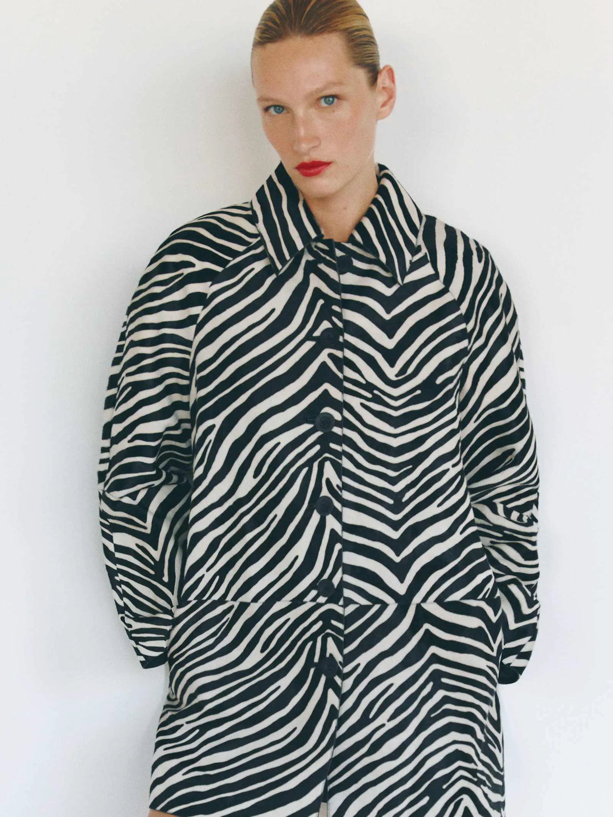 Zebra Haircalf