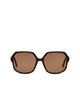Tortoise/brown