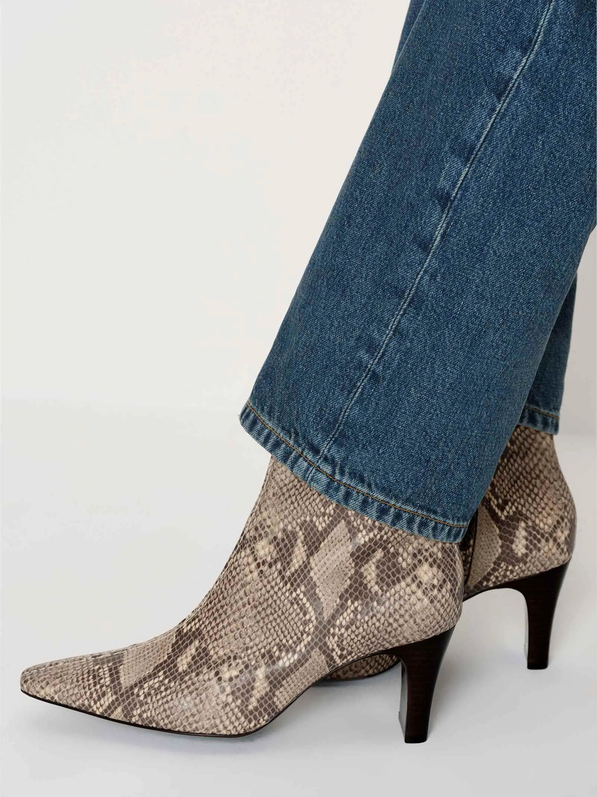 Tan Snake