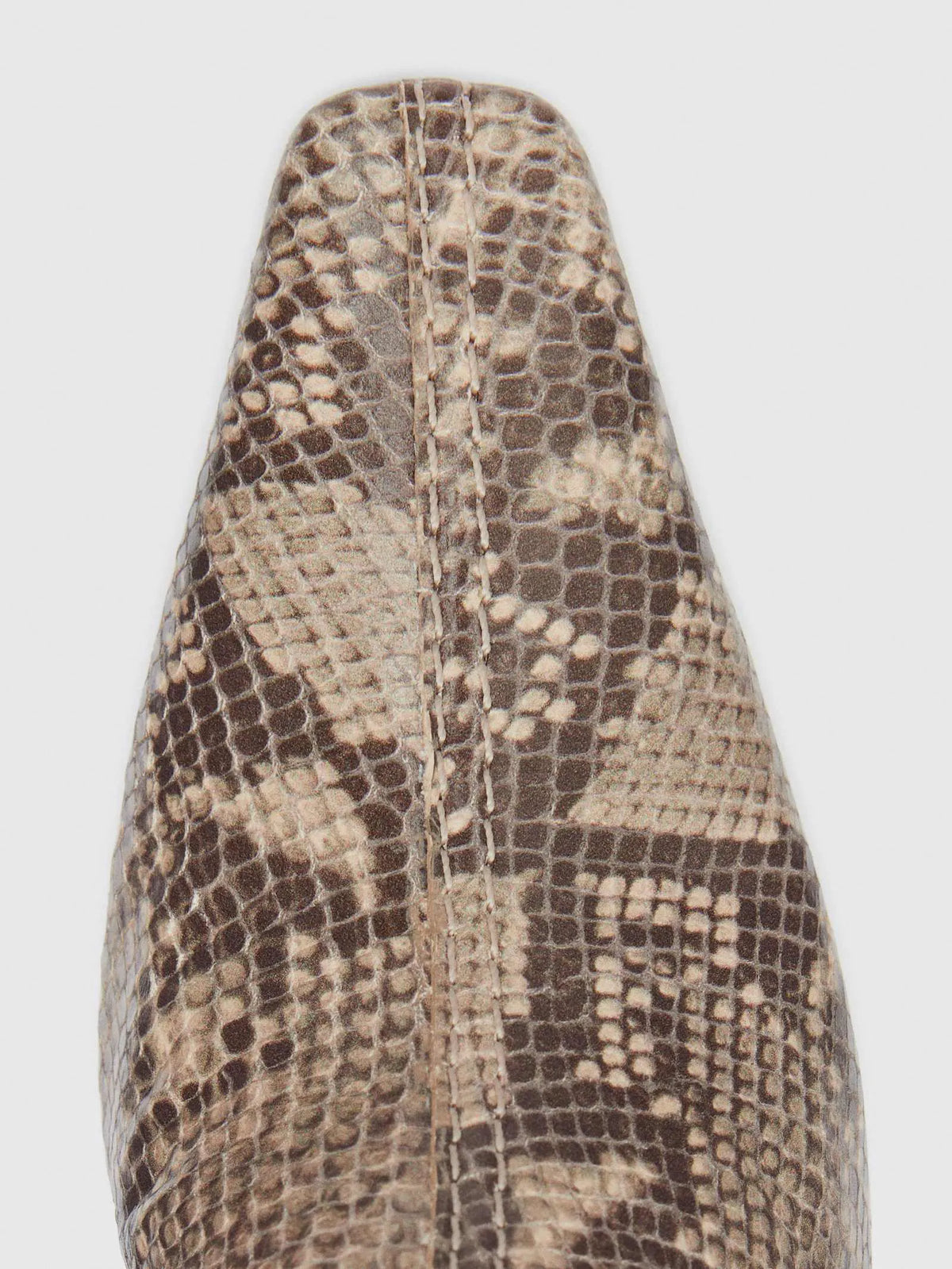 Tan Snake