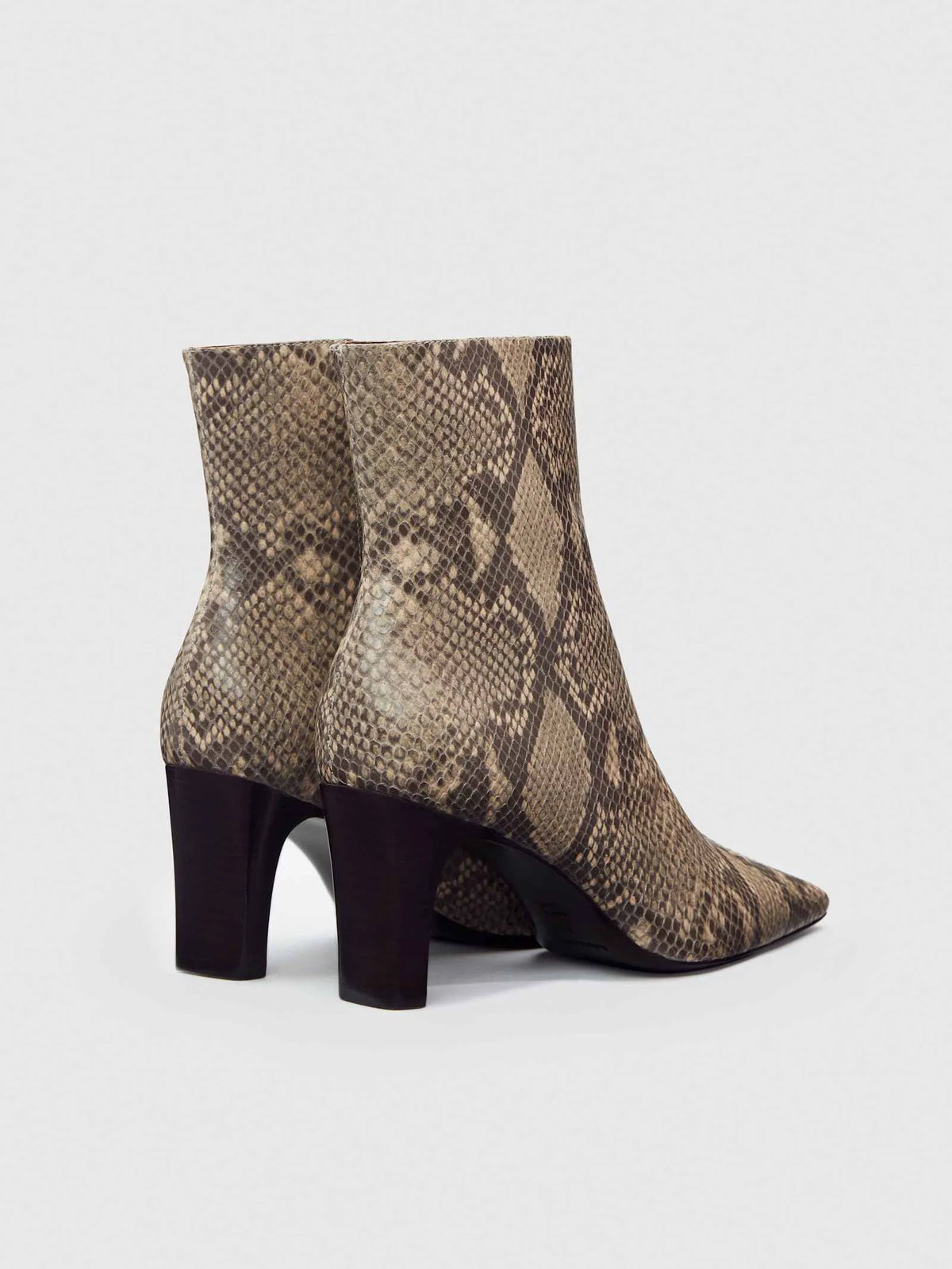 Tan Snake