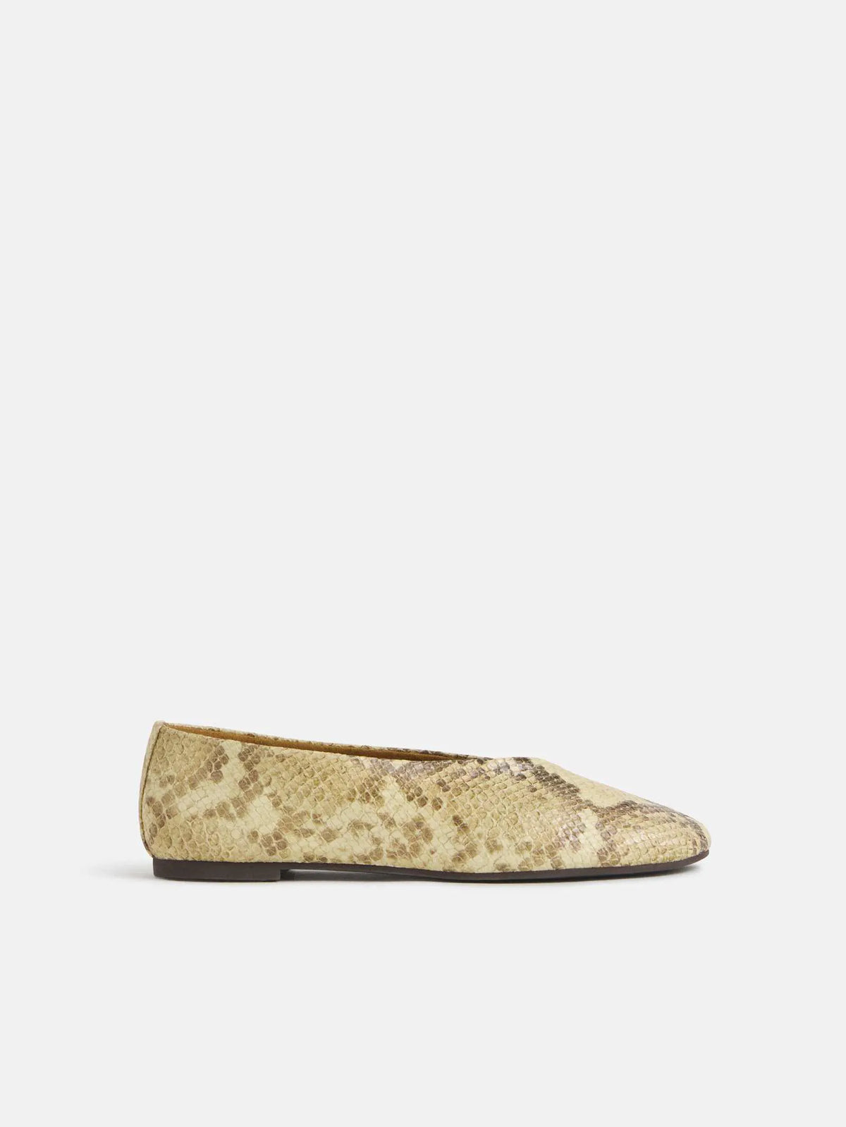 Pale Yellow Snake