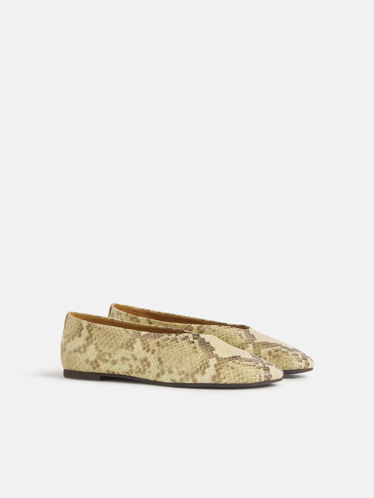 Pale Yellow Snake