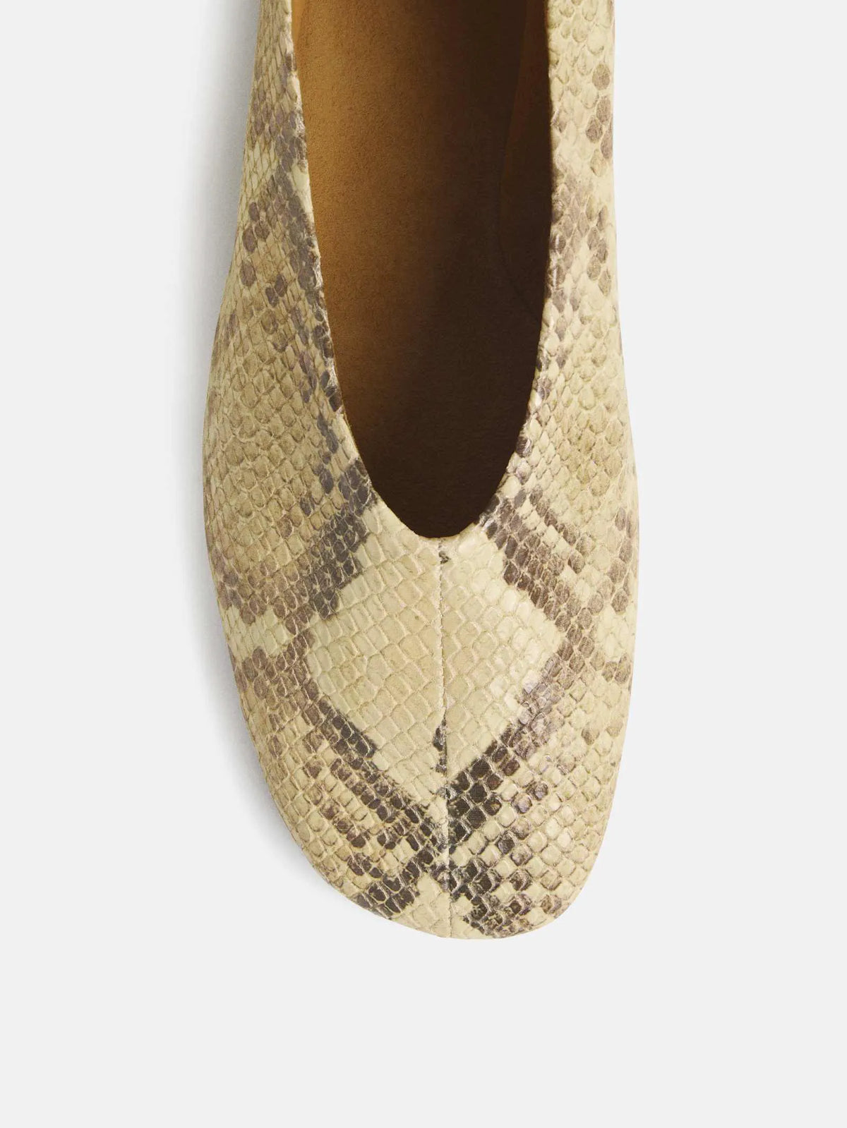 Pale Yellow Snake