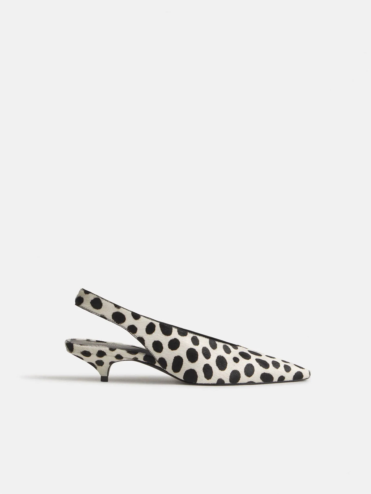 Dalmatian Haircalf