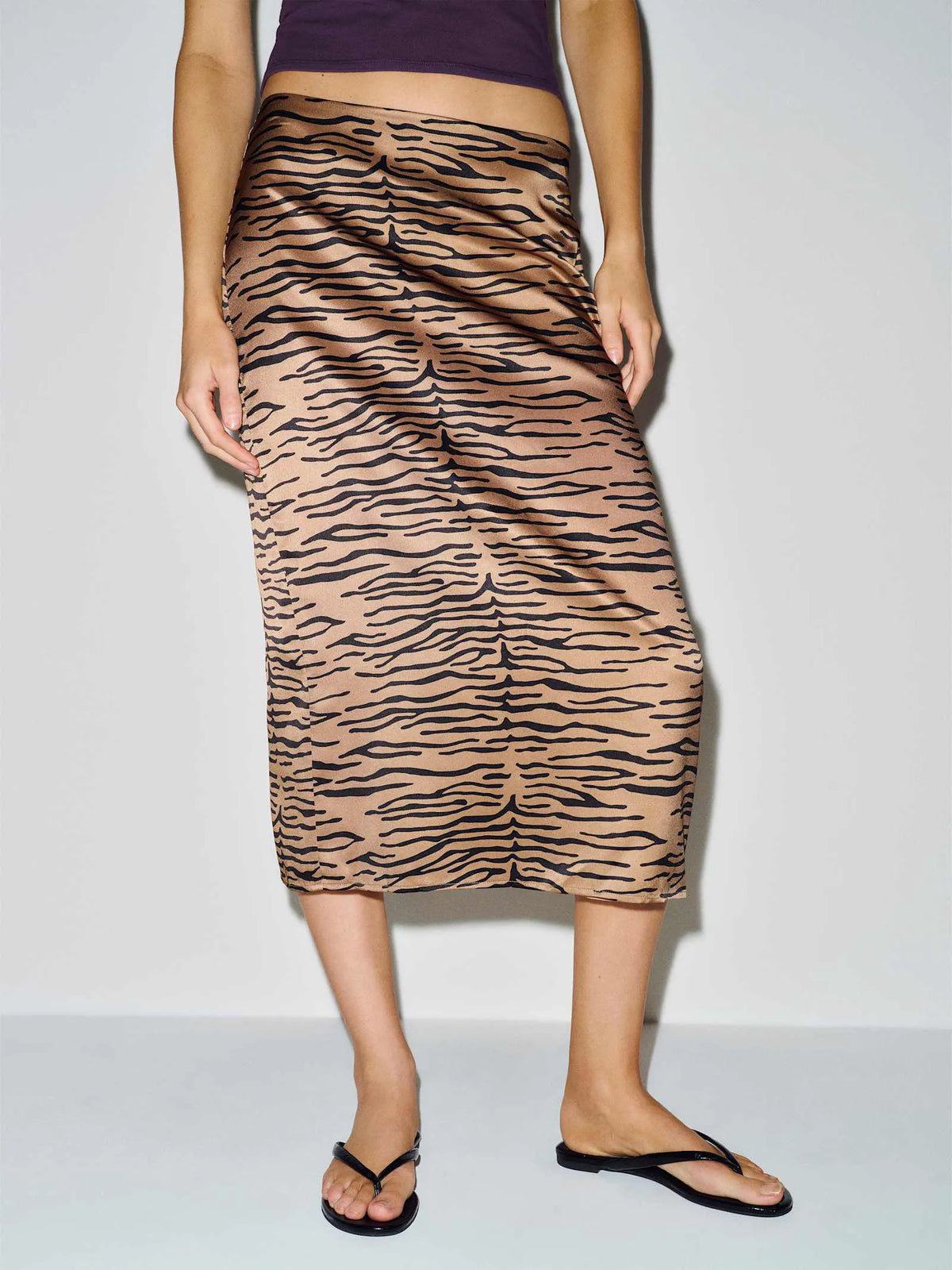 Tan Tiger
