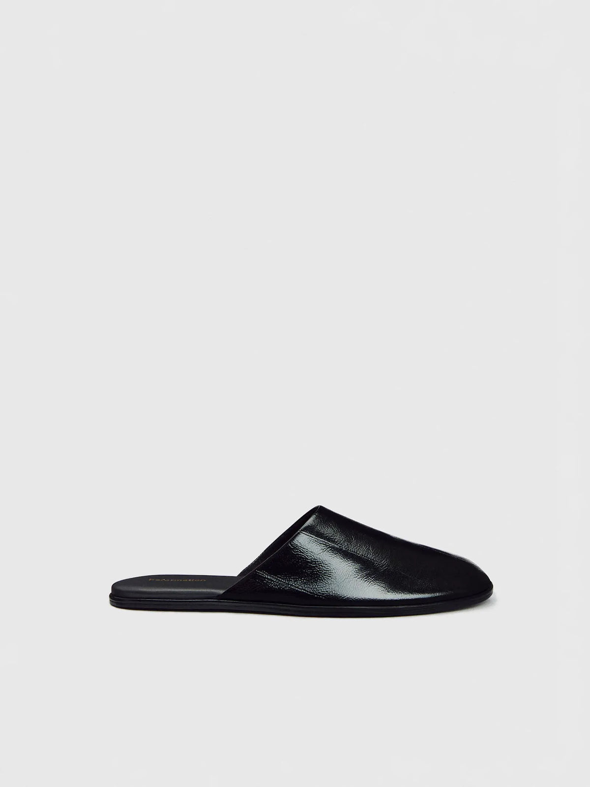 Black Eel