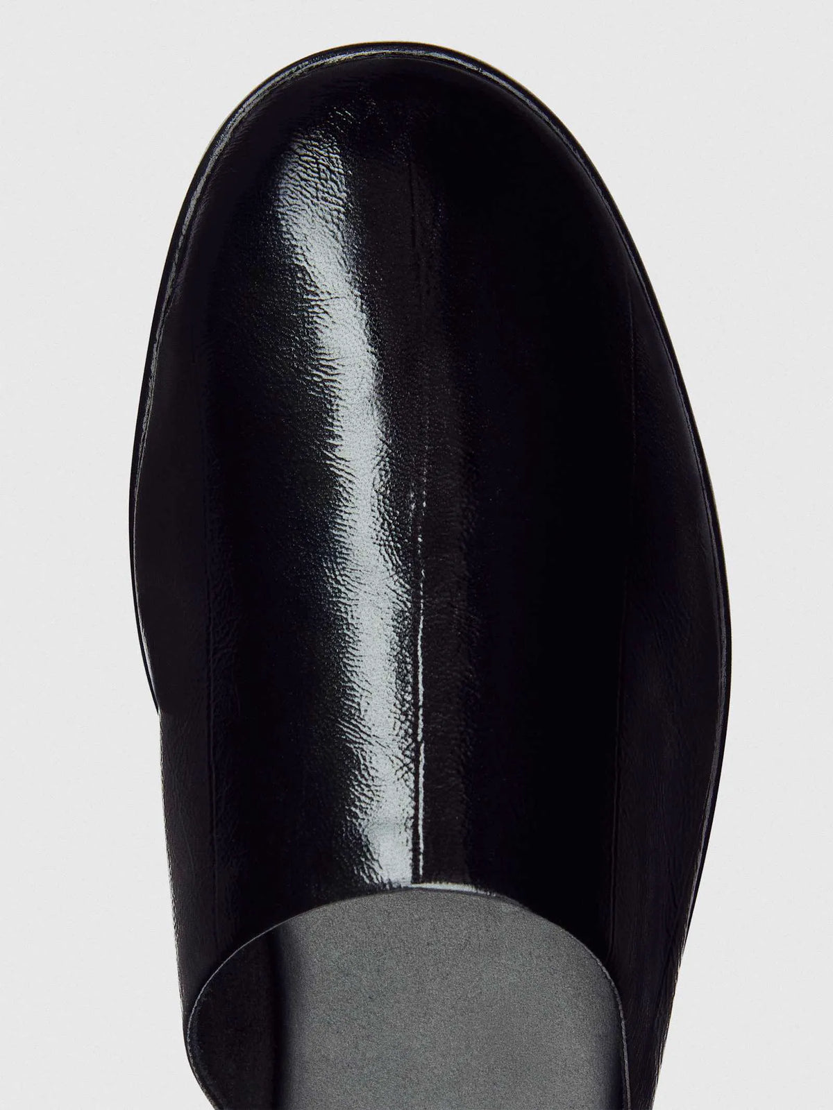 Black Eel