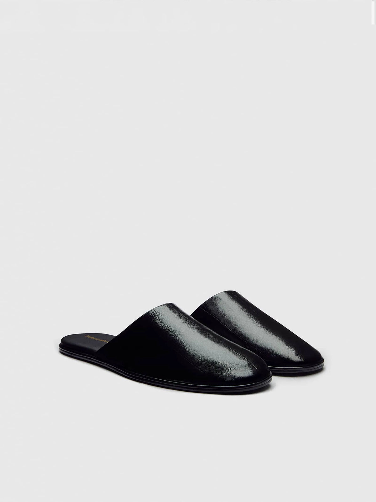 Black Eel