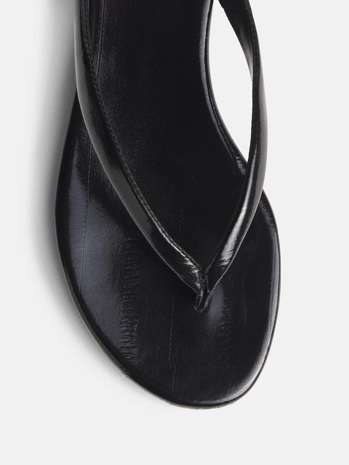 Black Eel
