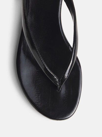 Black Eel