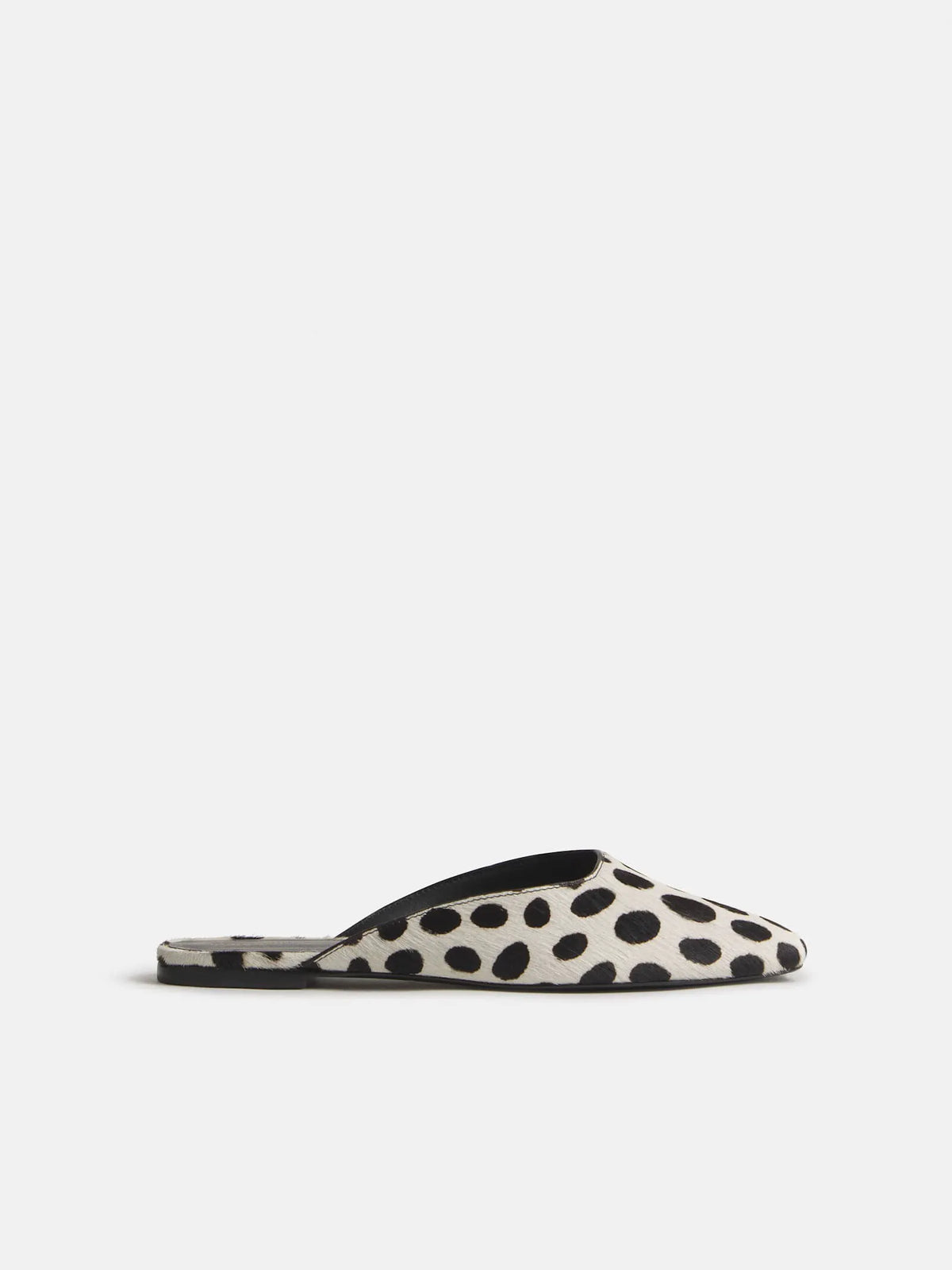 Dalmatian Haircalf