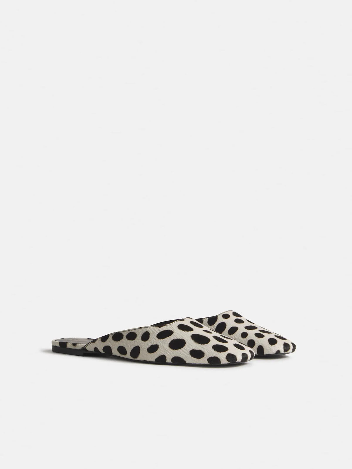 Dalmatian Haircalf