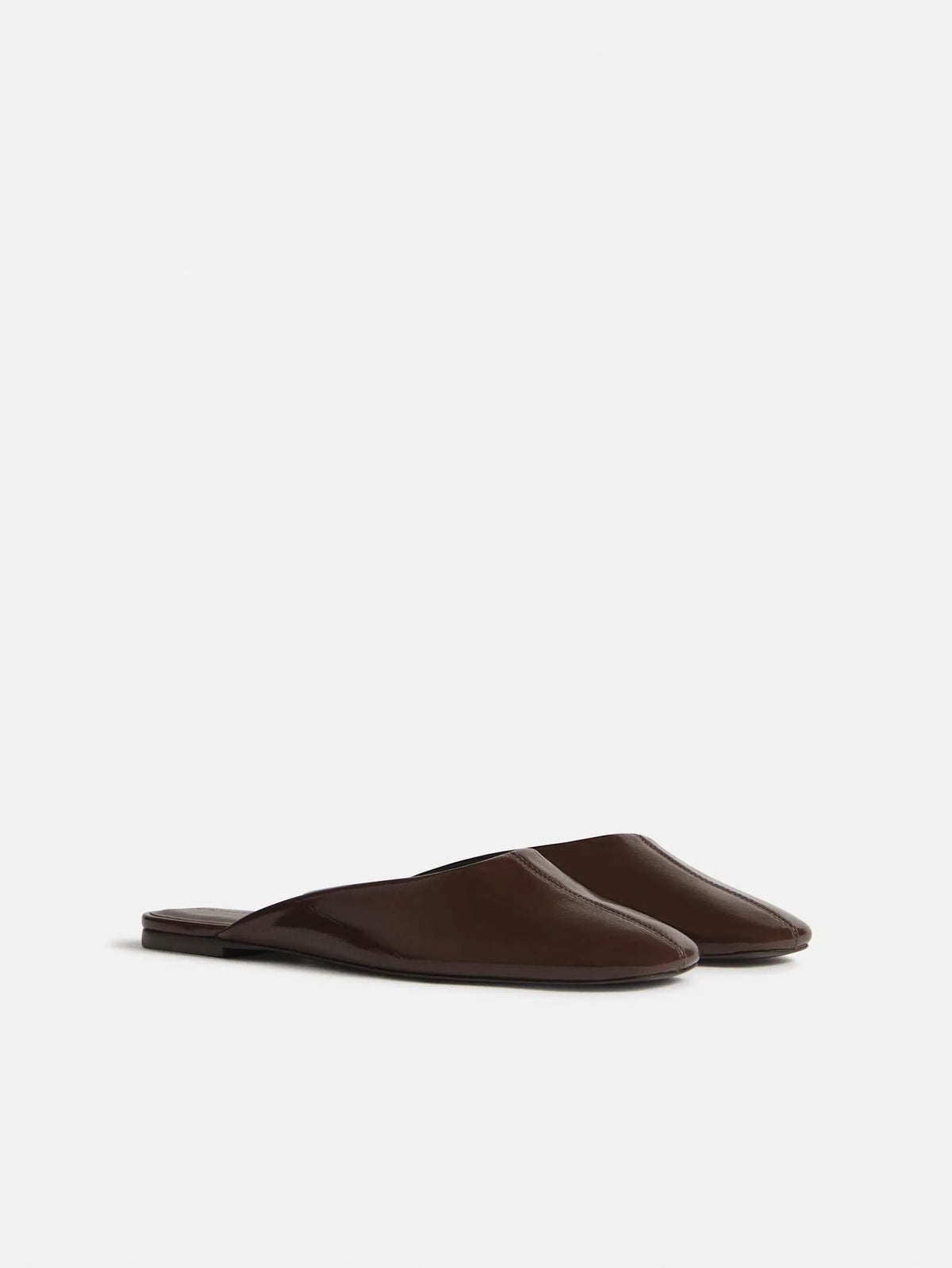 Espresso Eel
