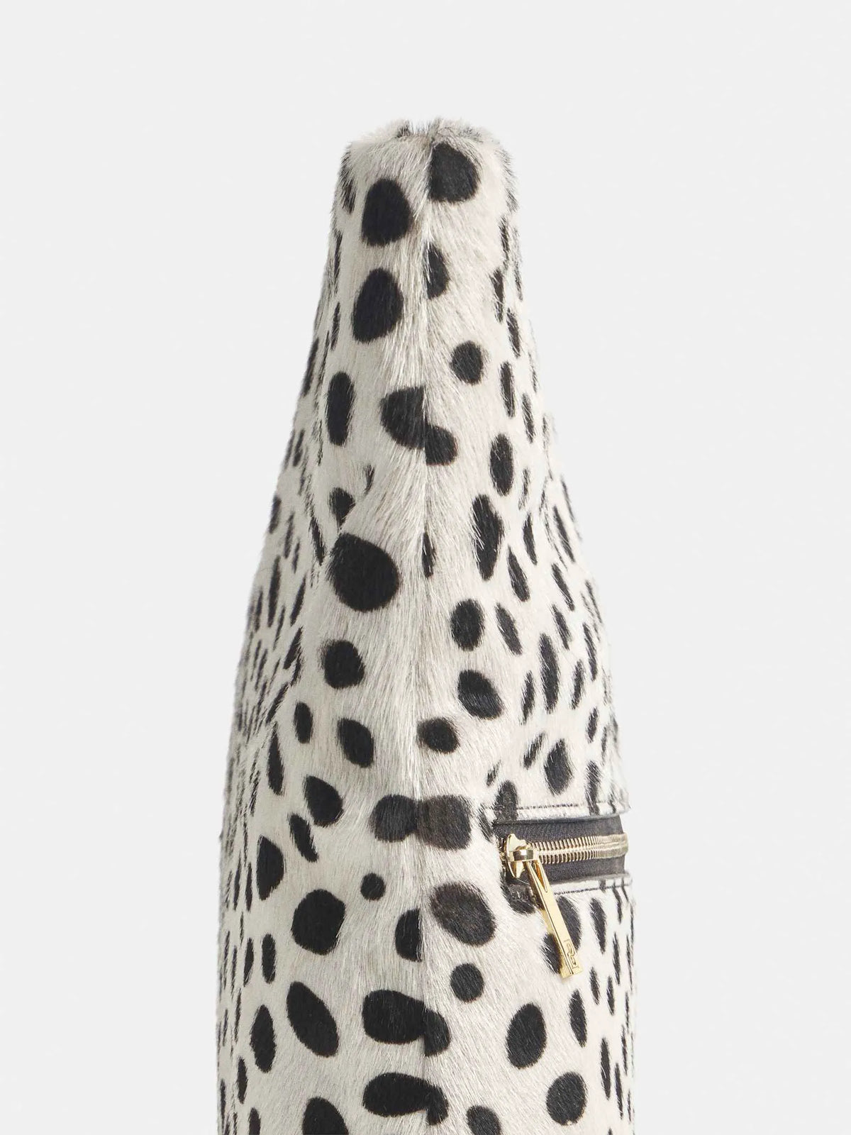 Dalmatian Haircalf