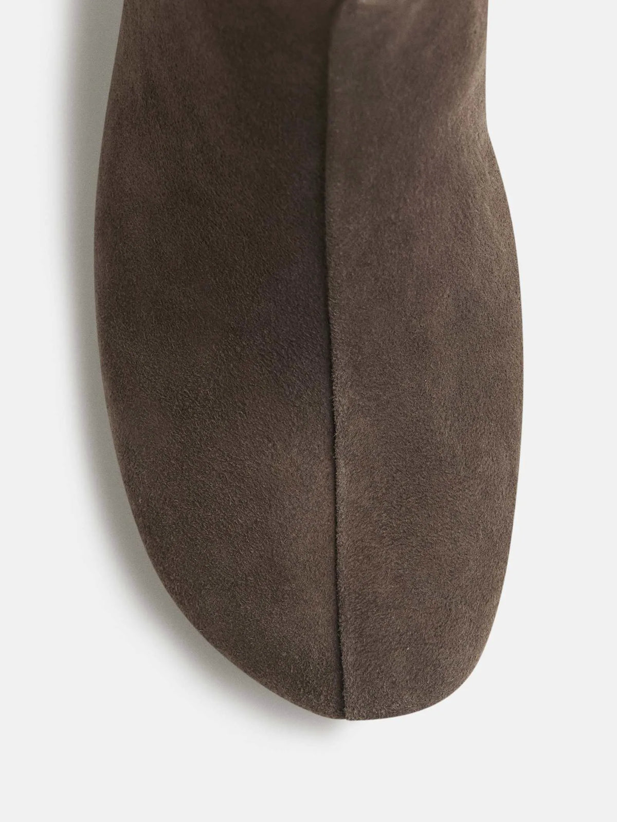 Clove Suede