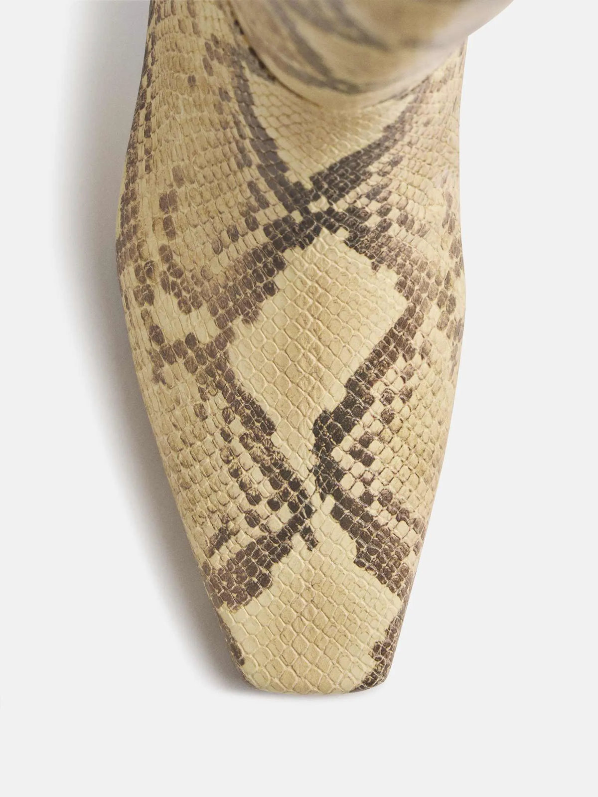 Pale Yellow Snake