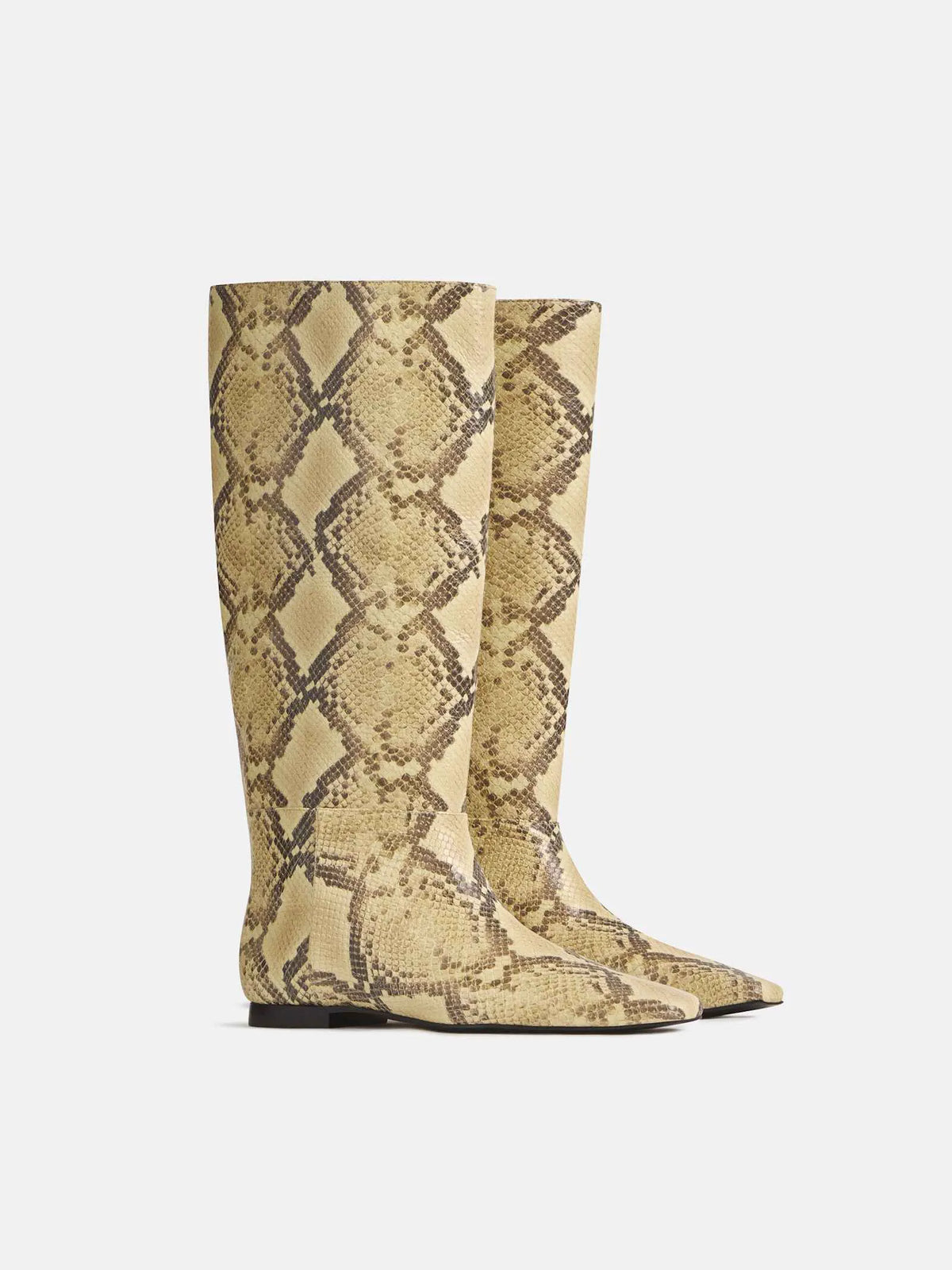 Pale Yellow Snake