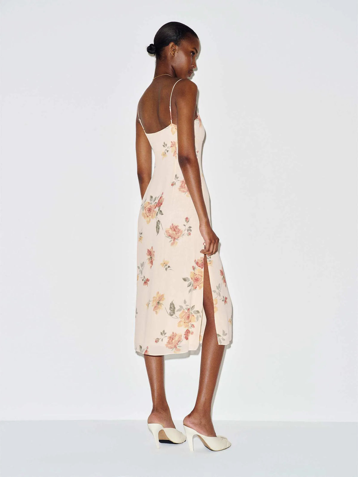 Climbing Rose