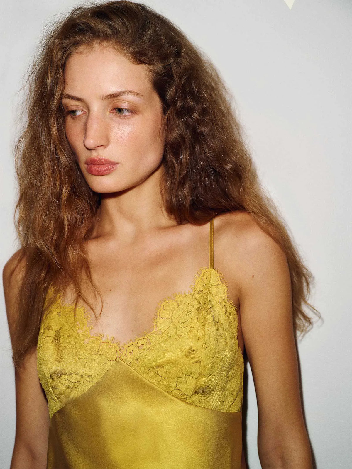 Chartreuse