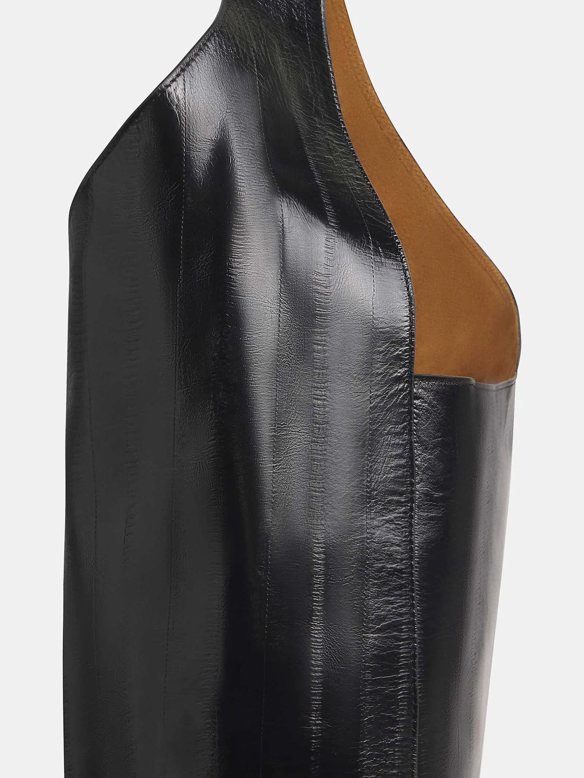 Black Eel